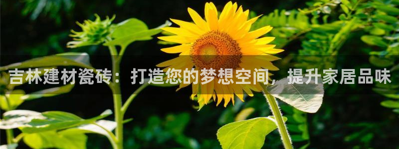 杏鑫平台代理