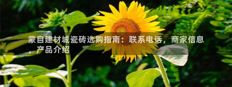 杏鑫平台代理注册多少钱一个