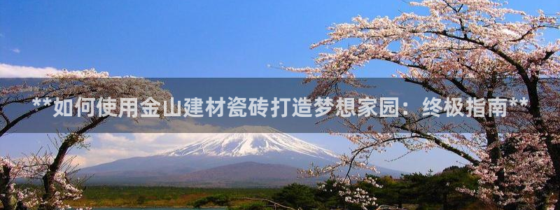 杏鑫平台代理注册流程及费用