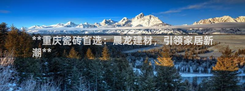 杏鑫平台代理注册多少钱啊