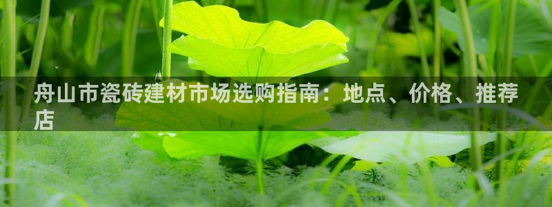 杏鑫平台代理怎么做