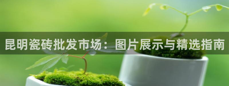 杏鑫娱乐官网首页