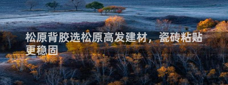 杏鑫平台代理怎么样