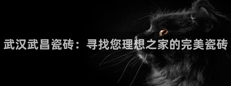 杏鑫注册登录代理公司