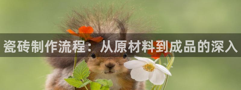 杏鑫官方平台怎么样啊