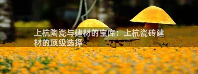 杏鑫平台代理注册流程图