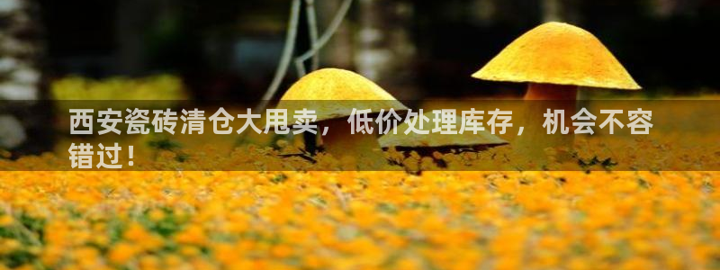 杏鑫平台怎么样黑钱吗安全吗可靠吗