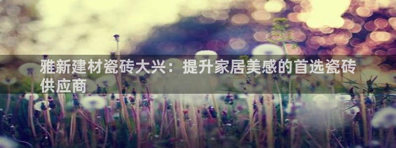 杏鑫平台代理怎么样赚钱