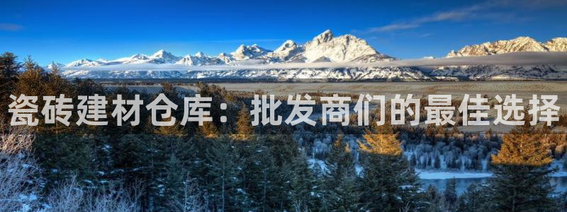 杏鑫平台代理怎么做赚钱