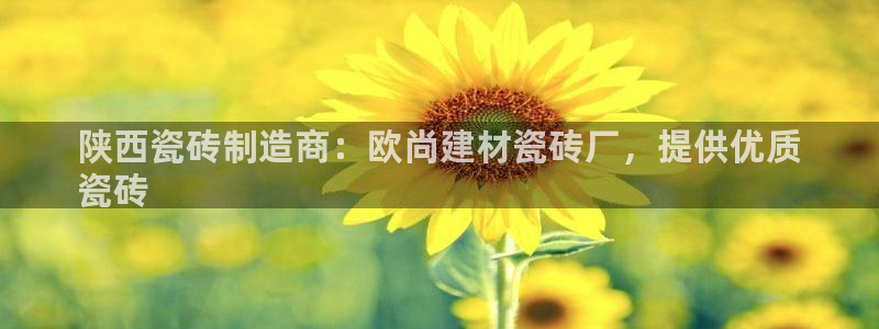 杏鑫平台代理怎么样可靠吗