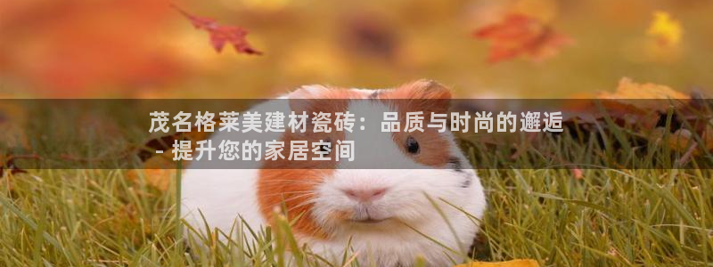 杏鑫娱乐怎么下