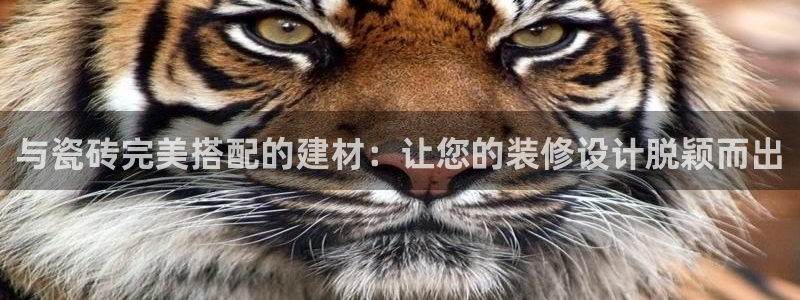 杏鑫官网注册账号密码是什么