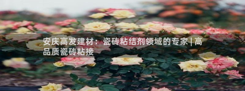 杏鑫平台在线注册