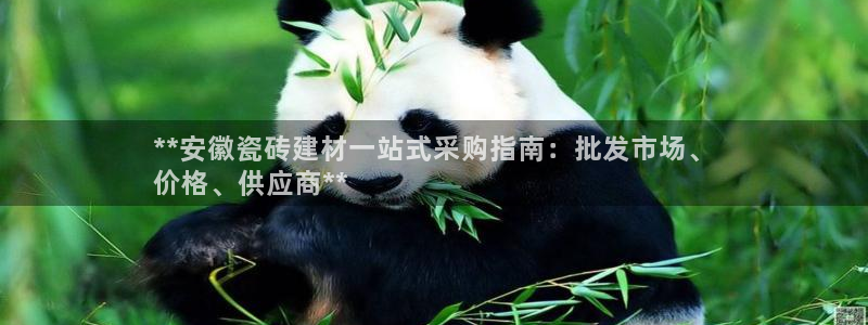 杏鑫平台野马联盟