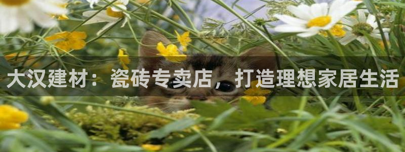 杏鑫平台代理注册登录不了怎么办呀