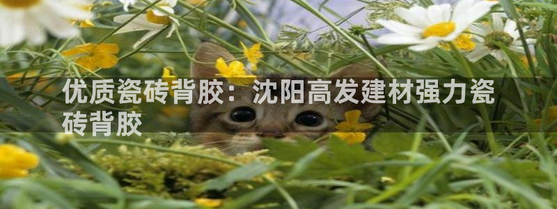 杏鑫平台怎么样黑钱吗是真的吗还是假的