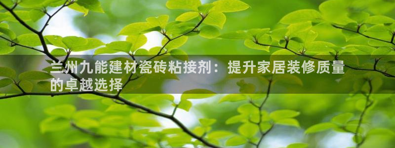 杏鑫平台野马联盟怎么样