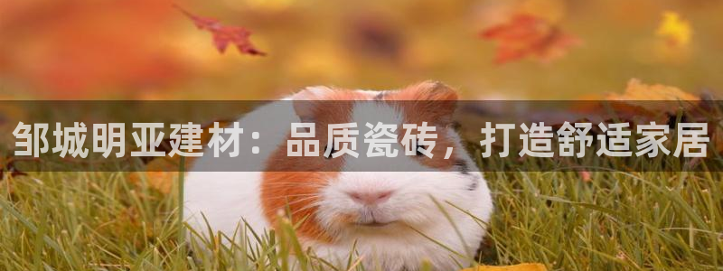 杏鑫平台招商怎么样