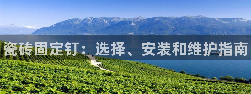 杏鑫平台代理注册多少钱一年