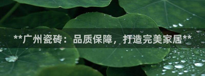 杏鑫官网注册账号密码