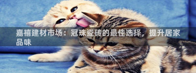 杏鑫平台测速怎么样