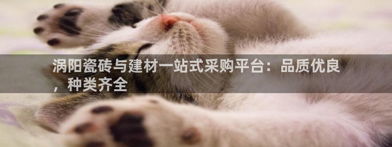 杏鑫平台招商怎么样