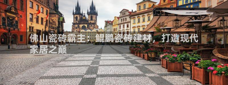 杏鑫官网注册账号是什么样的