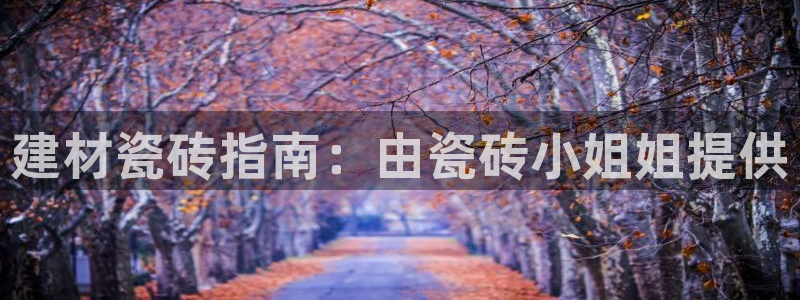 杏鑫平台怎么样