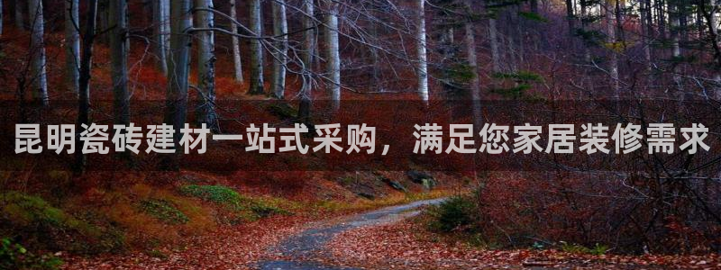 杏鑫注册登录平台是什么