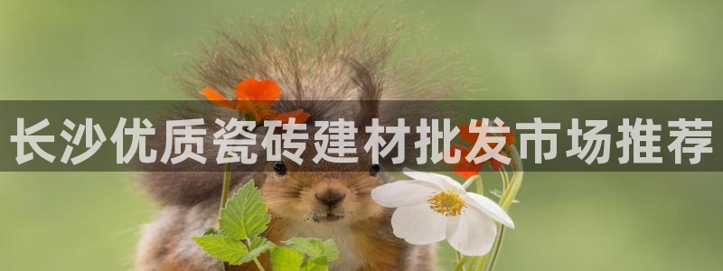 杏鑫平台代理怎么样啊