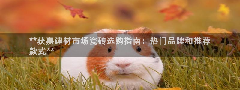 杏鑫官方平台怎么样啊知乎