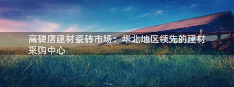 杏鑫平台代理怎么做赚钱