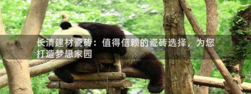 杏鑫娱乐负责人