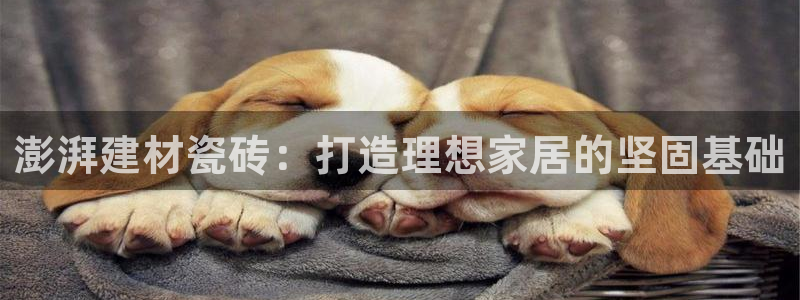 杏鑫官网最新信息