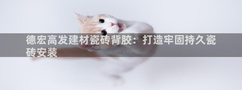 杏鑫平台代理注册登录不了怎么办呀视频