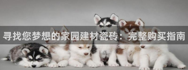 杏鑫代理注册登录