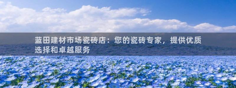 杏鑫平台代理注册流程