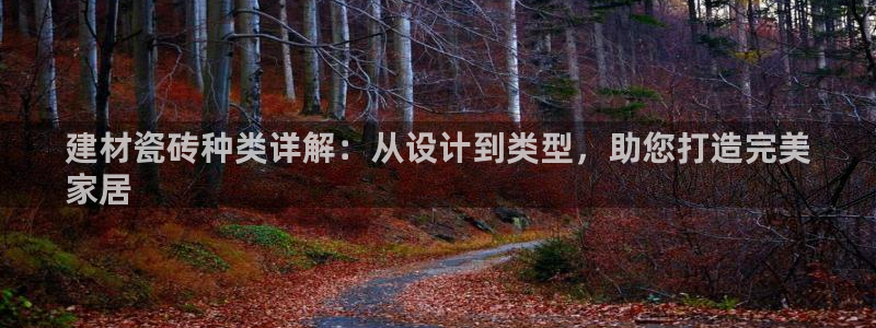 杏鑫娱乐开发团队