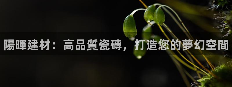 杏鑫娱乐官网下载