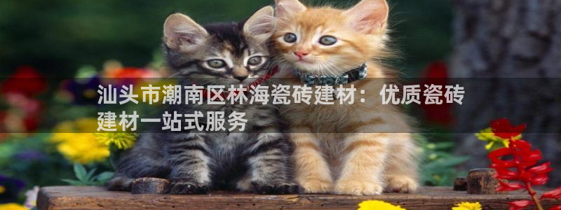 杏鑫平台怎么样黑钱吗知乎推荐