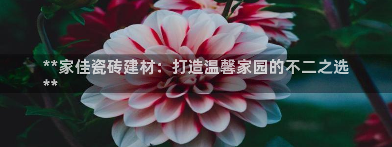 杏鑫平台代理注册登录不了怎么办呀苹果