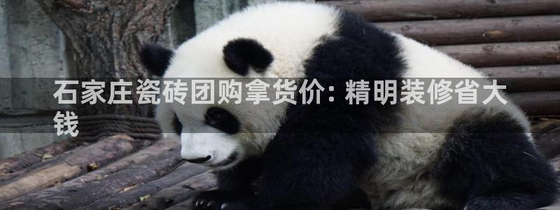 杏鑫官网注册账号是什么样的