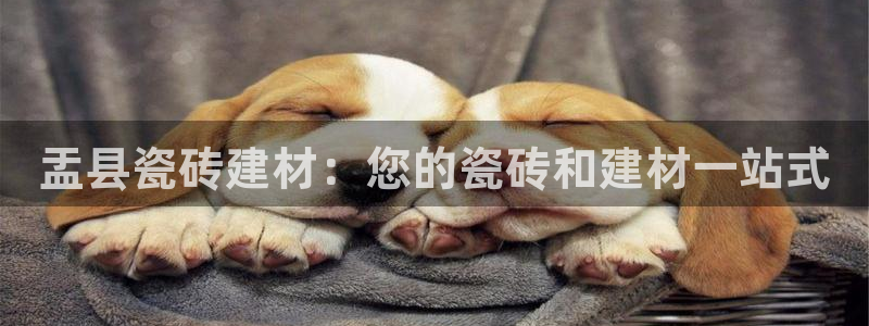 杏鑫官方app代理