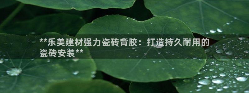 杏鑫手机客户端