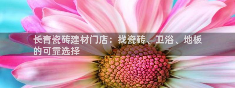 杏鑫平台代理注册