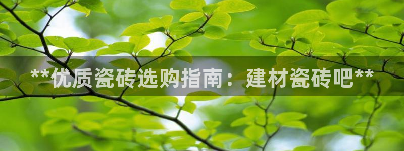 杏鑫娱乐官方网站客户端登录