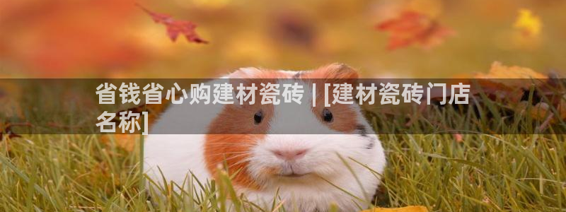 杏鑫娱乐官网下载