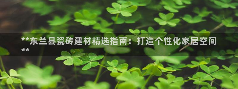 杏鑫注册登录代理公司