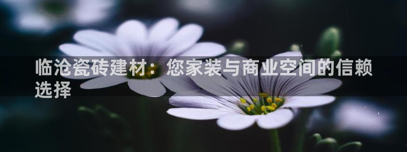 杏鑫平台登录地址