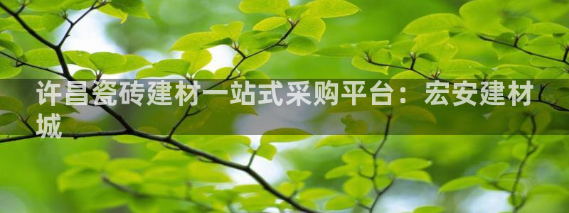 杏鑫注册平台官方网站是什么